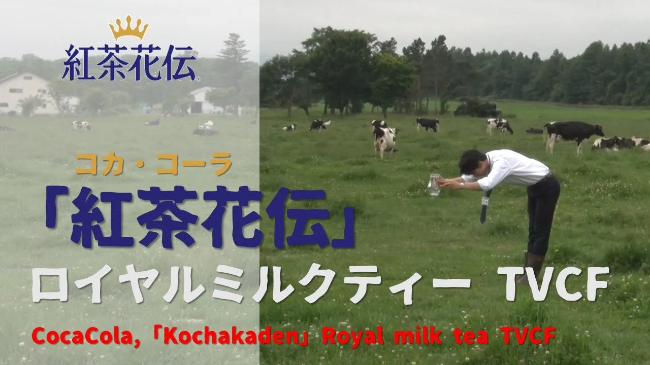 [日本廣告] CocaCola, 「Kochakaden」 Royal milk tea TVCF